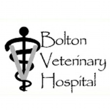 Bolton Veterinary Hospital