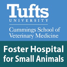  Cummings School of Veterinary Medicine at Tufts University, Foster Hospital for Small Animals